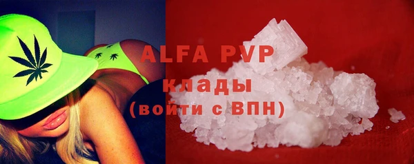 PSILOCYBIN Белокуриха