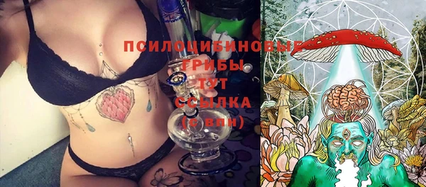 прущий лед Аркадак