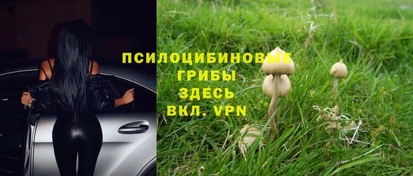 дмт Беломорск