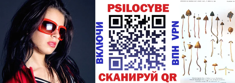 Псилоцибиновые грибы Magic Shrooms  Петропавловск-Камчатский 