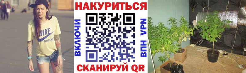 маркетплейс состав  Петропавловск-Камчатский  Каннабис конопля  закладки 